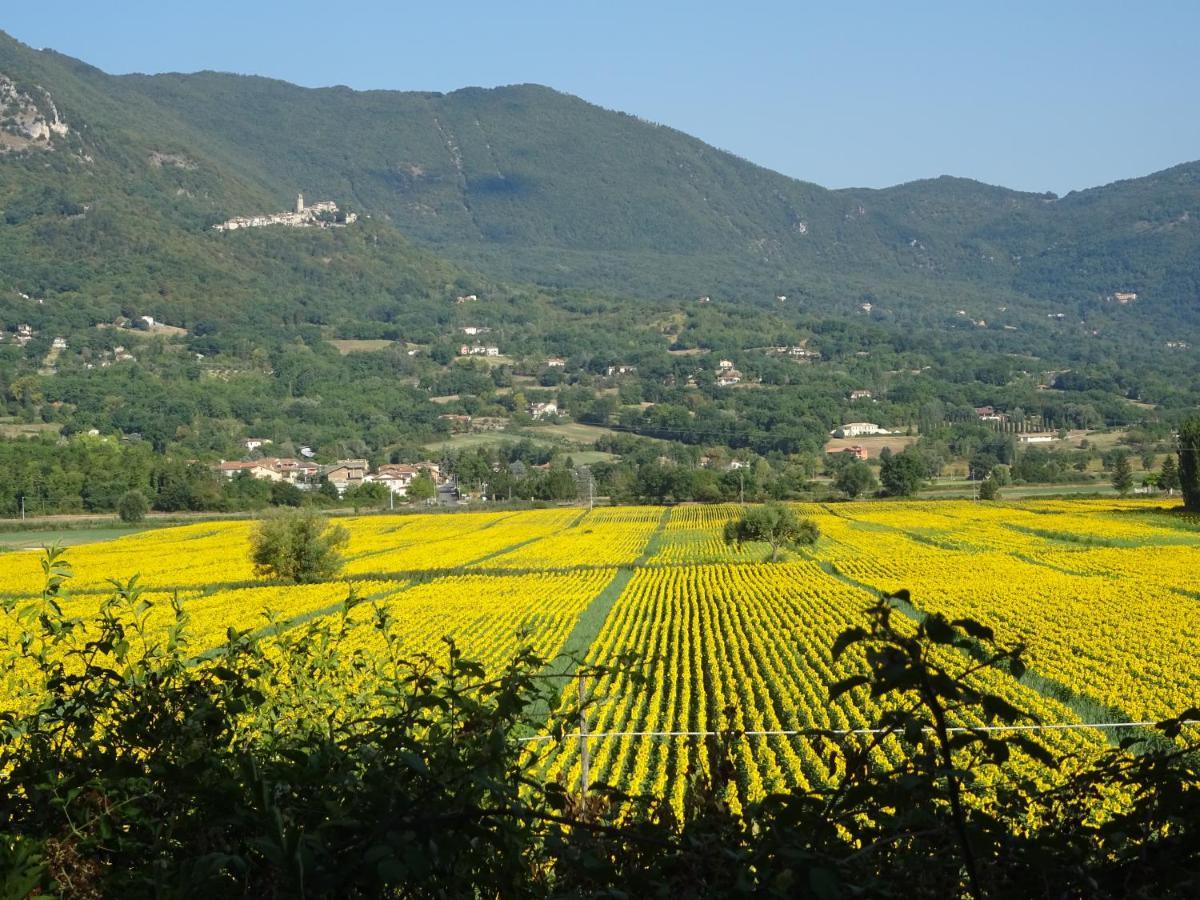 La Bottega Del Fabbro Affitto Breve Vila Contigliano Exterior foto