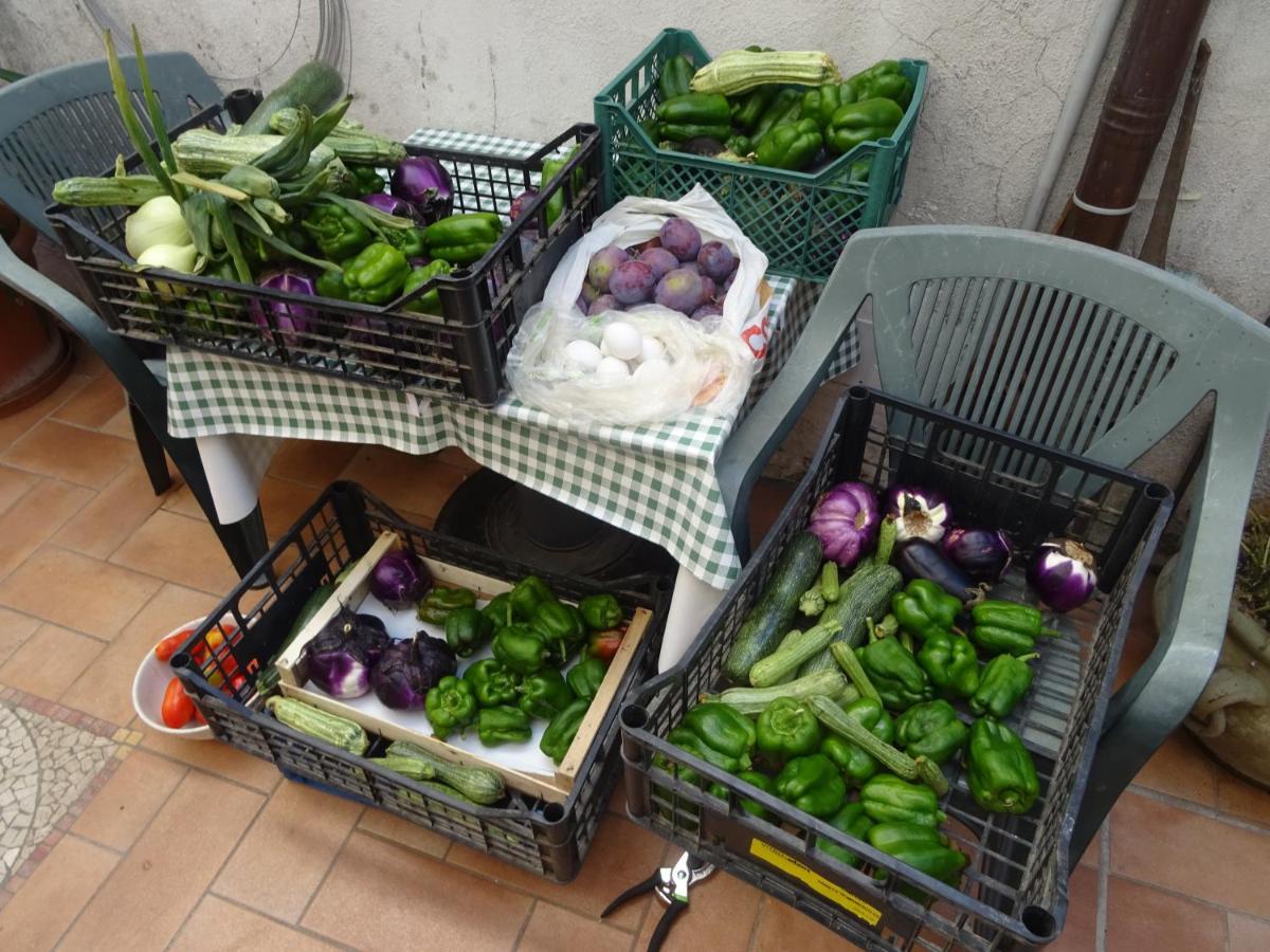 La Bottega Del Fabbro Affitto Breve Vila Contigliano Exterior foto